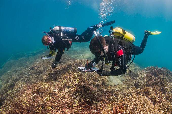 Underwater photo of two scuba diver scientists surveying a hard coral reef